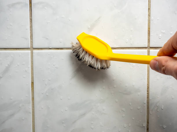 Best Kitchen Mold Remediation in Kincaid, IL