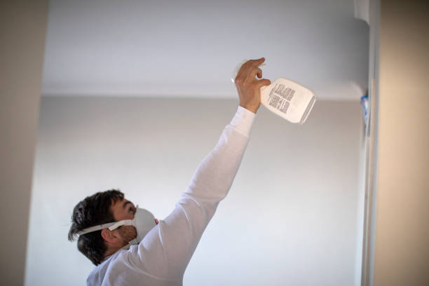 Best Mold Remediation for Specific Building Types in Kincaid, IL
