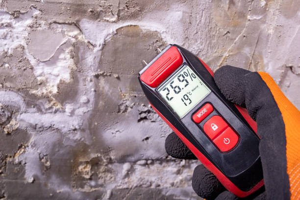 Best Residential Mold Remediation in Kincaid, IL
