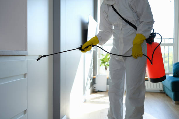 Best Localized Mold Remediation (e.g., coastal areas, humid climates) in Kincaid, IL