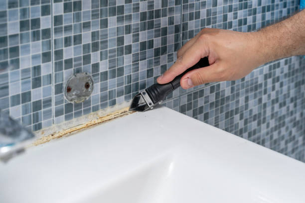 Trusted Kincaid, IL Mold Remediation Experts