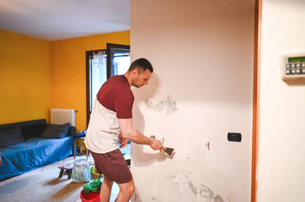 Best DIY Mold Remediation Support Services in Kincaid, IL